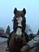 21-12-2002_023.jpg