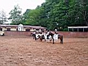soiree_cem_28-05_111.JPG